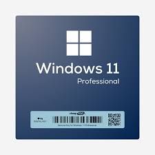 WINDOWS 11 KEY PRO